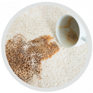 NEUTRALIZE ODOURS ON ALL SURFACES